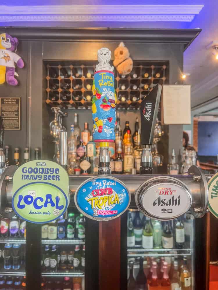 Local beer taps at a bar with colorful labels and hanging plush toys, promoting variety and craft beer options.